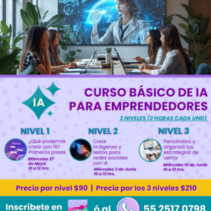Curso básico de IA para Emprendedores (pago por 3 clases)