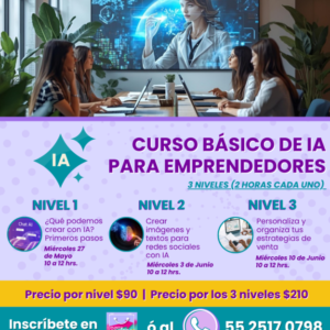 Curso básico de IA para Emprendedores (pago por clase)
